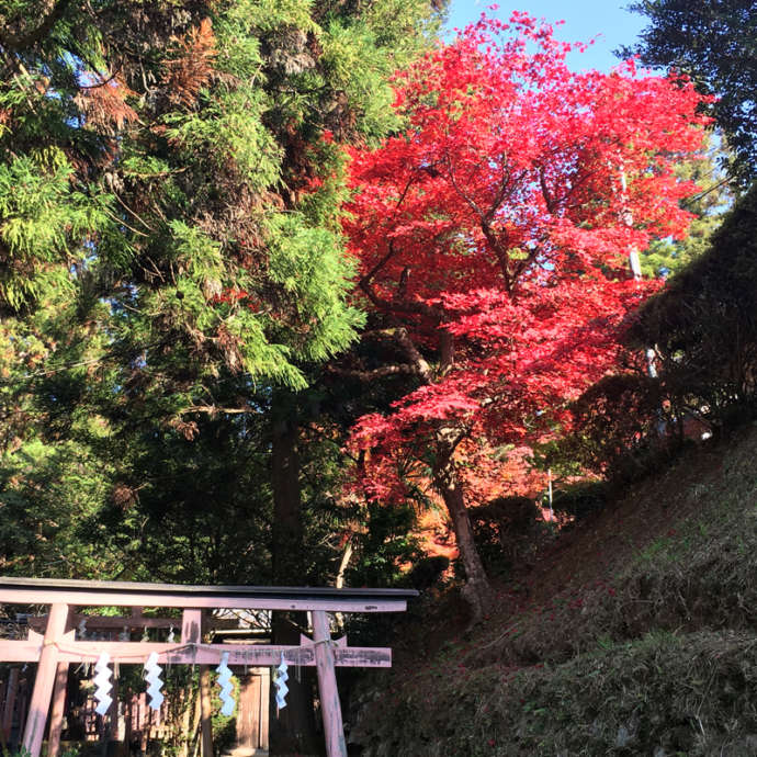 生身天満宮の秋の景色