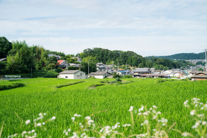 生駒市の自然豊かな景観