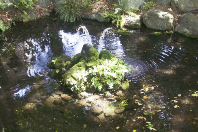 秩父今宮神社を訪れた際の神社や近隣の見どころはありますか？