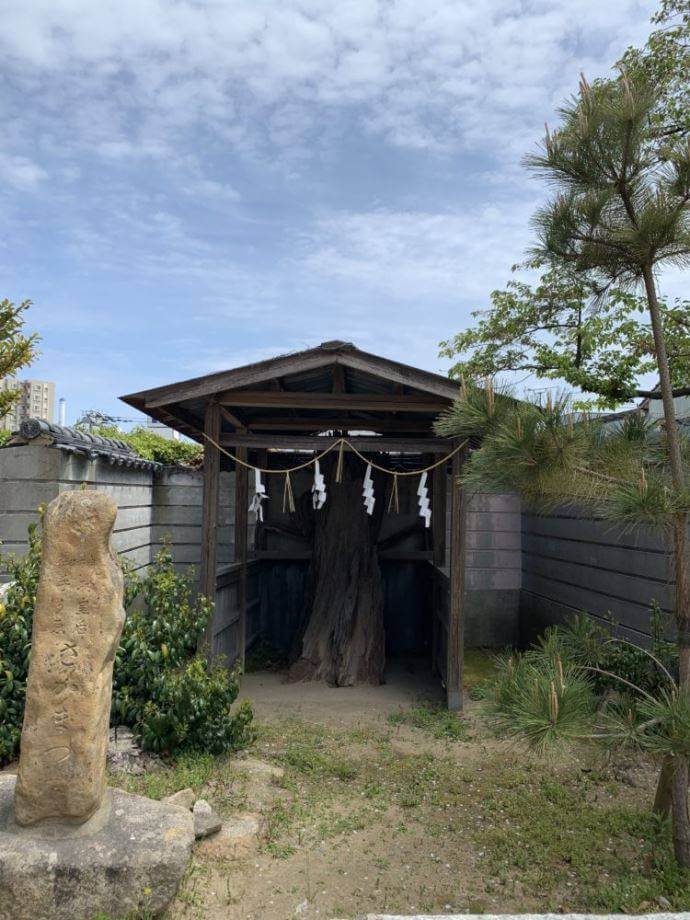 忌宮神社の安産祈願について