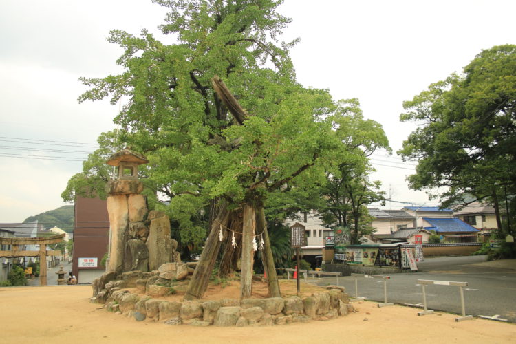 忌宮神社における安産祈願のご利益について