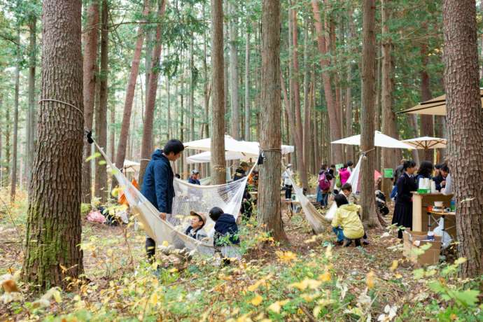 伊那市で開催している森のイベント