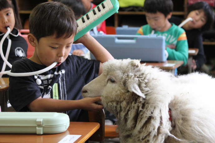 伊那小学校のヤギがいる授業風景