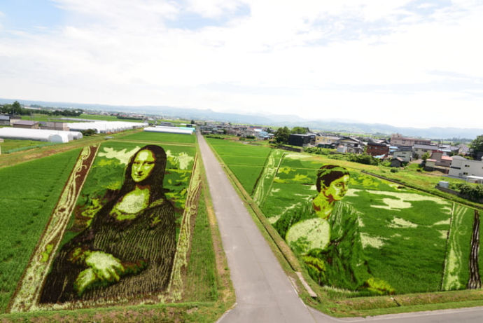 田舎館村の田んぼアート