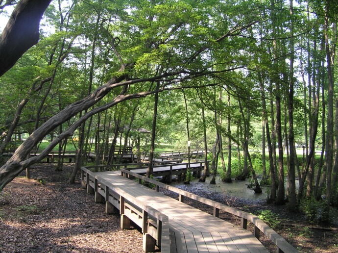 町制施行記念公園内にある遊歩道