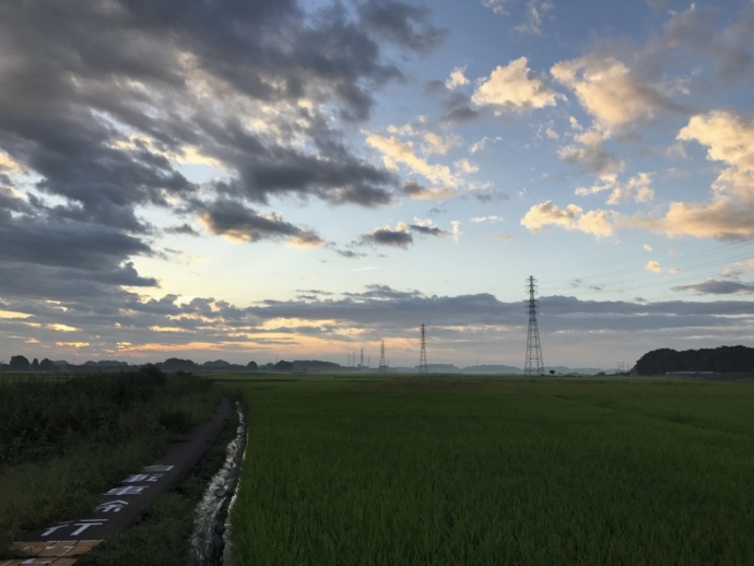 伊奈町の空と田園風景