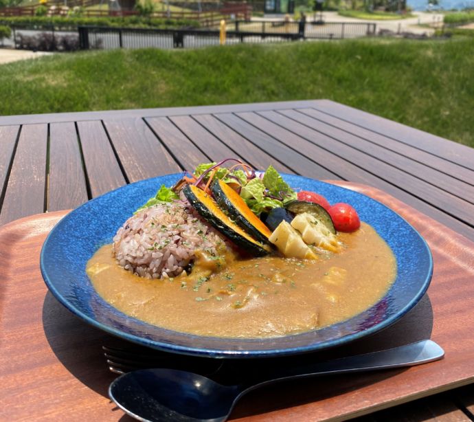 HAKKOパークのカフェで提供されているカレー