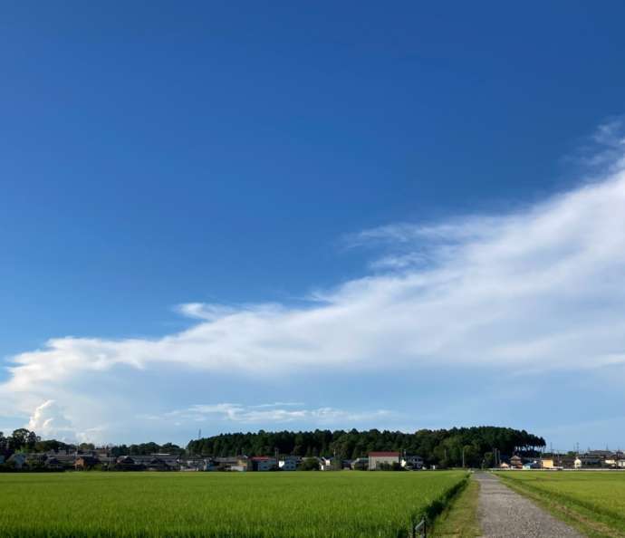 伊奈冨神社の周辺に広がる田園風景