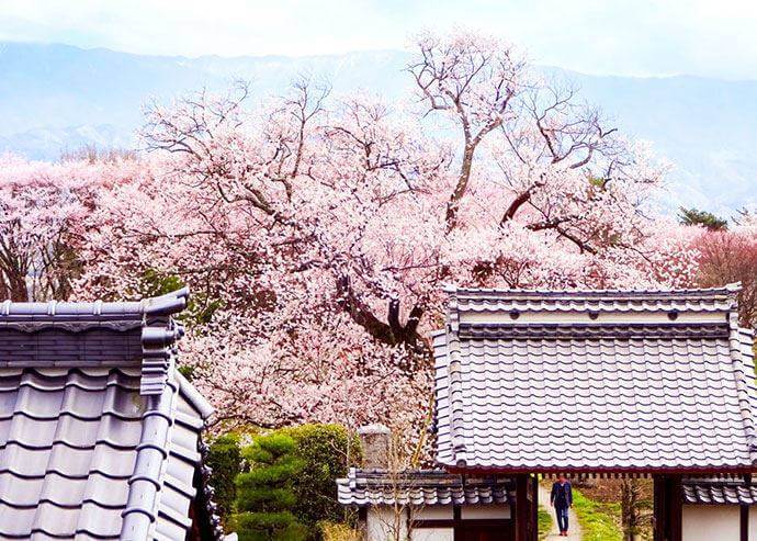 婚活イベント会場の松源寺