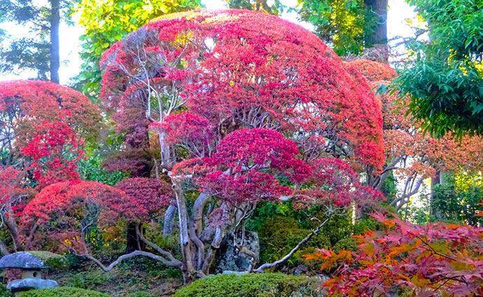 松源寺のお寺婚活でオススメの服装