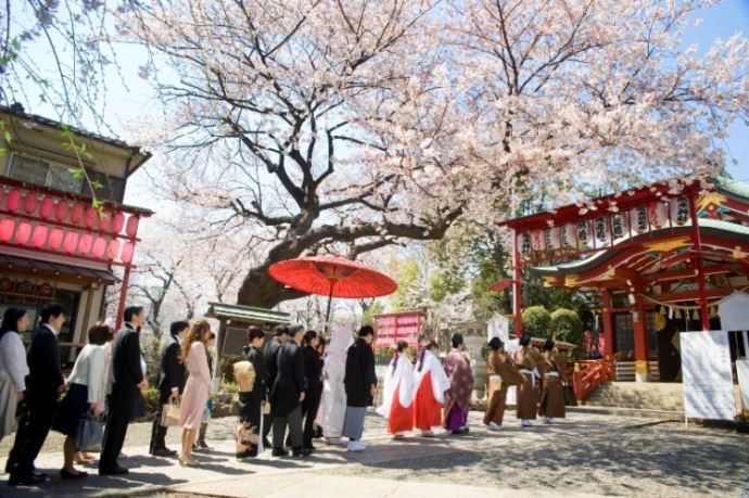 居木神社の花嫁道中