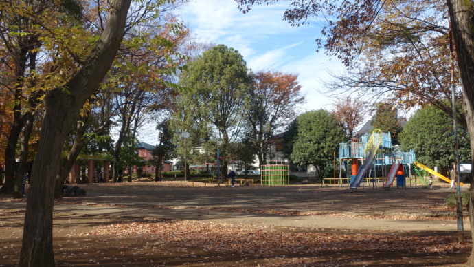 富士見公園の風景