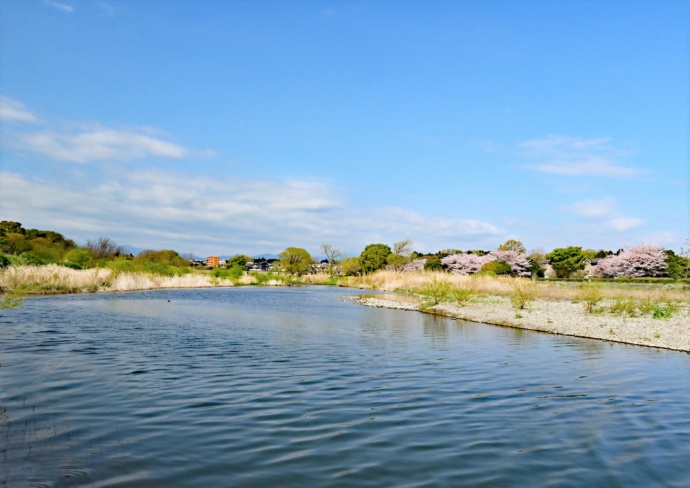 入間川の風景