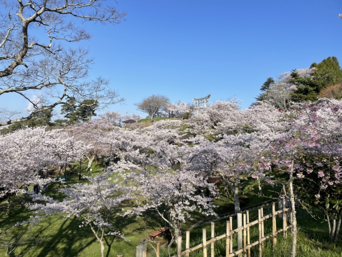 日和山公園の風景