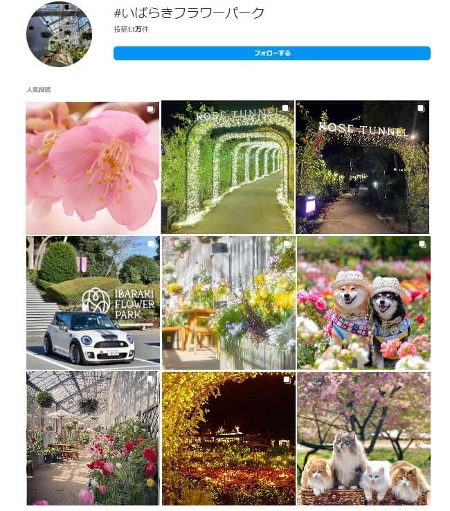 インスタグラムに投稿されているいばらきフラワーパークの写真その1