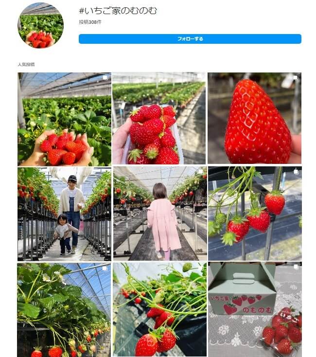 インスタグラムに投稿されているいちご家のむのむの写真