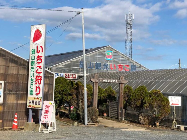 磯山観光いちご園のいちご栽培ハウスの外観