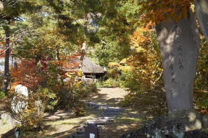 小丸山公園の一茶句碑と俳諧寺