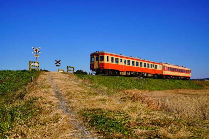 いすみ鉄道の旧国鉄型車両が走る様子