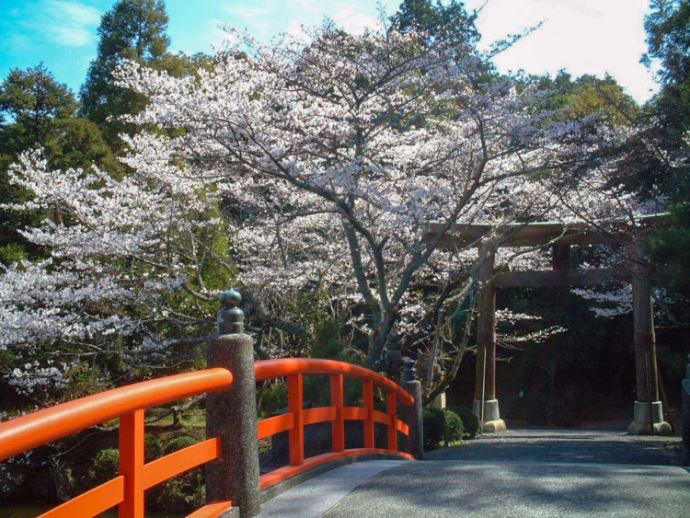 和歌山市で神前結婚式ができる伊太祁曽神社