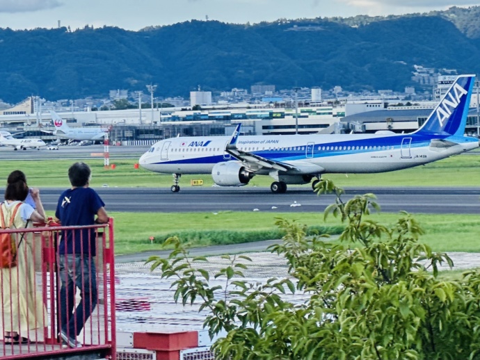 伊丹スカイパークから見られる飛行機