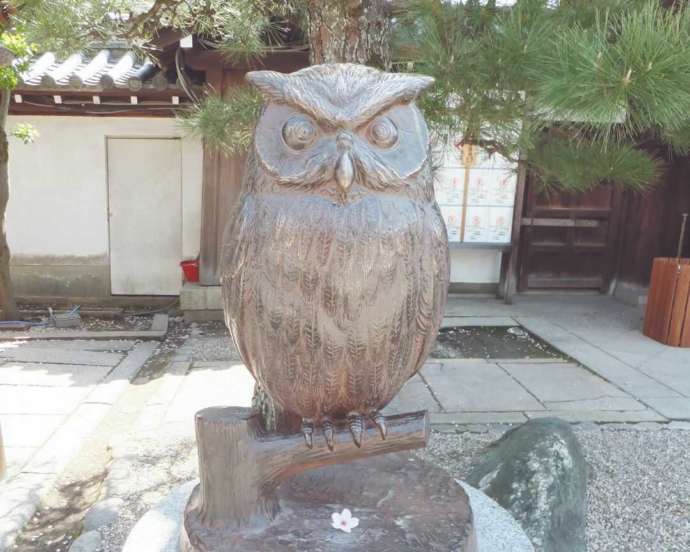 射楯兵主神社の撫でみみずく