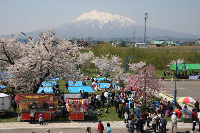 板柳町の桜まつり