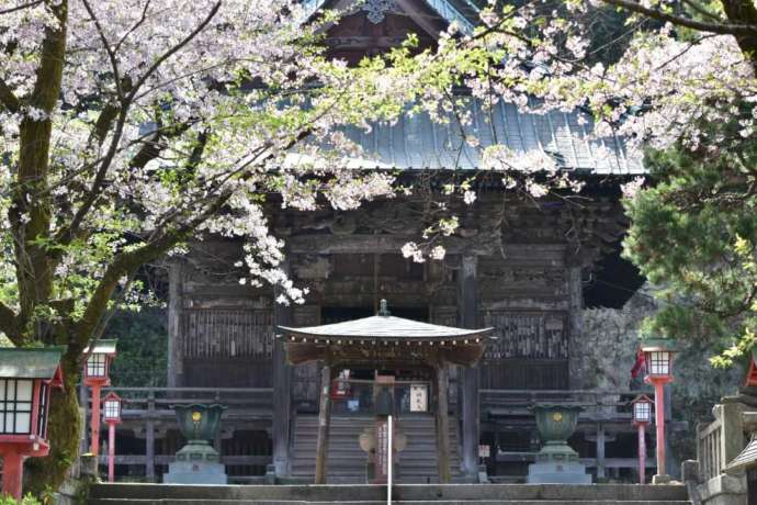 「岩殿観音 正法寺」の春