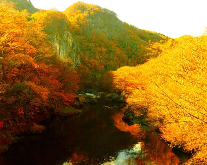 岩泉町の渓谷に広がる紅葉