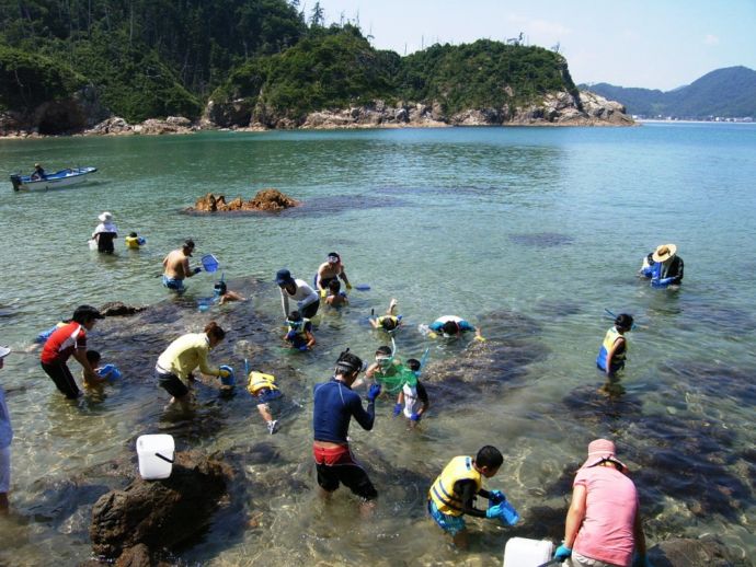 岩美町の熊井浜で行われた磯の観察会に参加する親子連れ