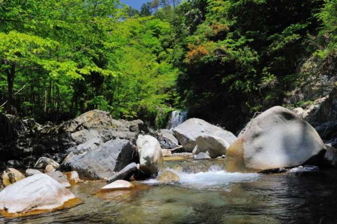 滋賀県東近江市にある「岩魚の里 永源寺グリーンランドの前を流れる渓流