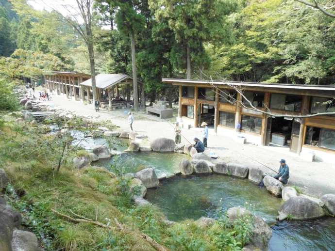 永源寺グリーンランドの人工渓流の釣り場とバーベキューハウス