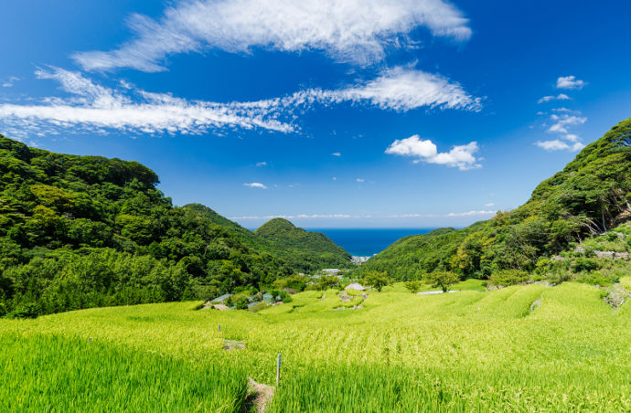 静岡県松崎町にある「石部の棚田」