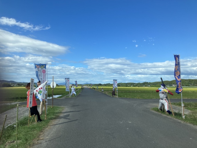 出水市の青木地域で開催される青木かかし祭り