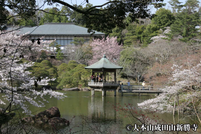 成田山新勝寺の隣にある「成田山公園」の春の様子