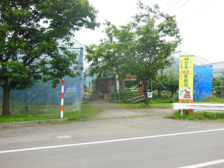 神宮寺観光果樹園のくだもの狩り・野菜狩りについて