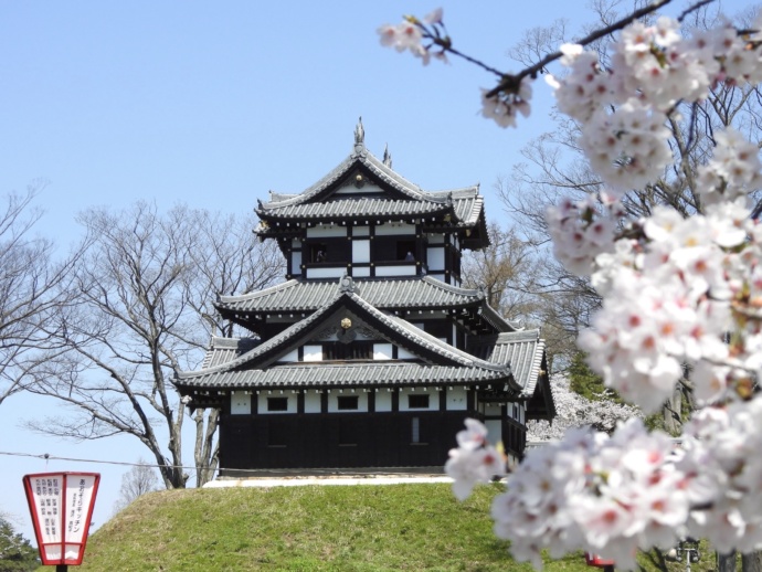 高田城址公園の三重櫓と桜の風景