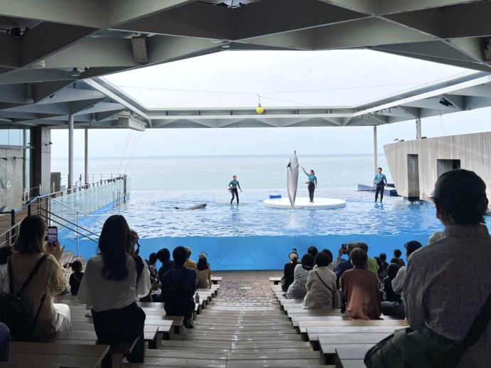 上越市立水族博物館 うみがたりのイルカショー