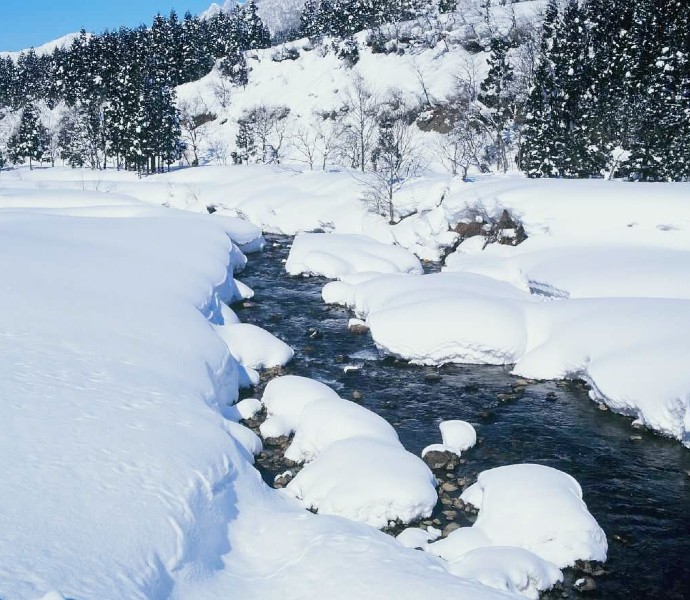 白瀧酒造のお酒は越後湯沢の雪どけから造られる