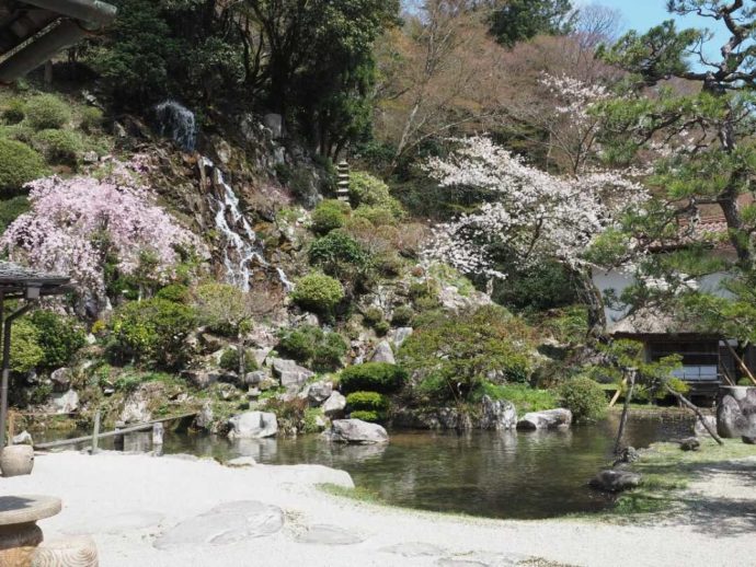 可部屋集成館にある岩浪の滝と春の桜