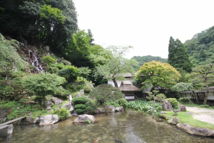 櫻井家の庭園全景