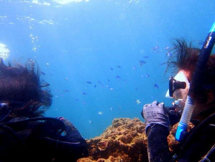 海底少年のアクティビティで海中散策する様子