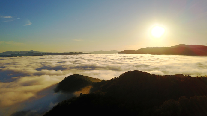 亀岡盆地を包む丹波霧による雲海