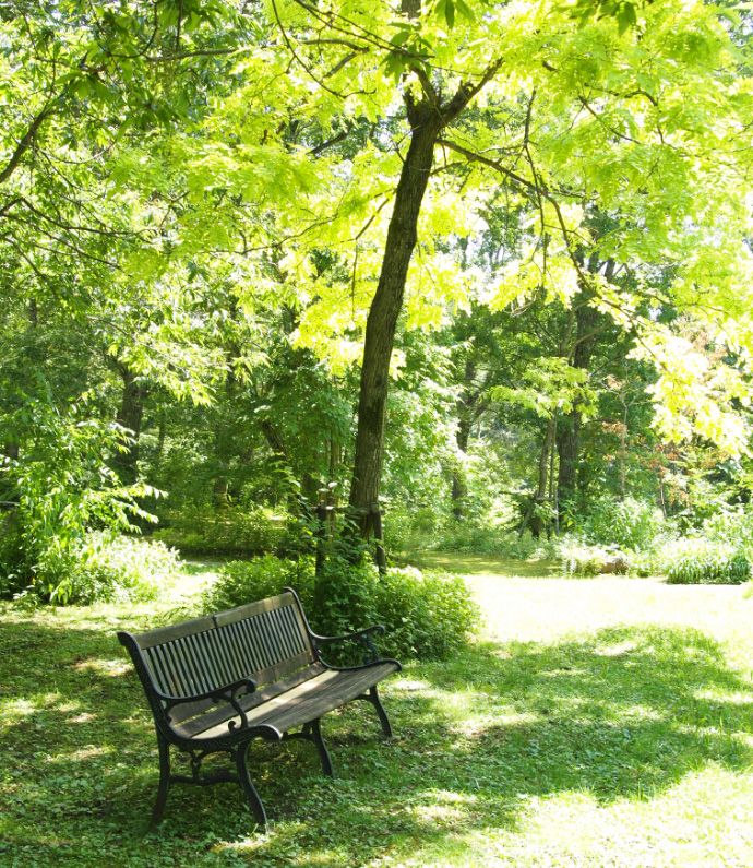 「たじま高原植物園」にあるベンチ