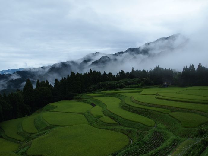 香美町の「うへ山の棚田」