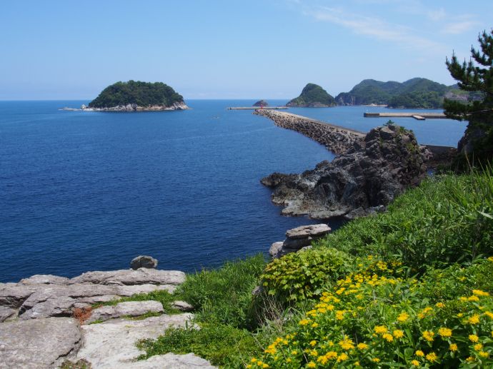 香美町の岡見公園