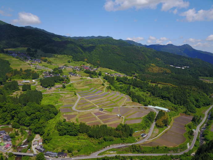 山間部の棚田をドローンにより上空から撮影したもの