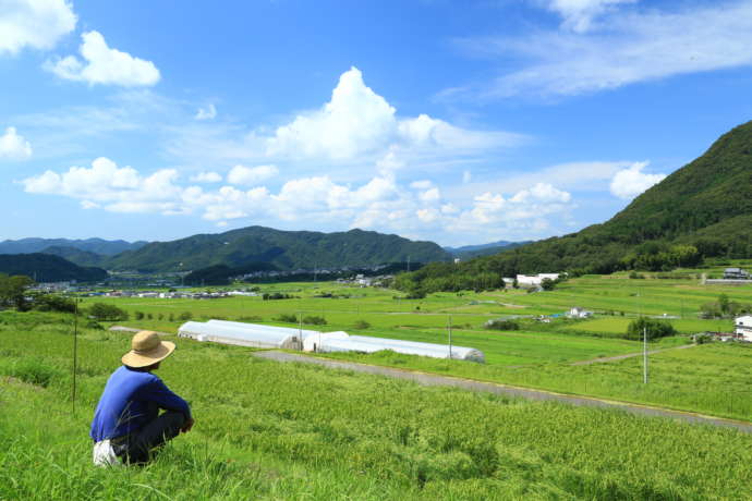 上郡町の田園風景