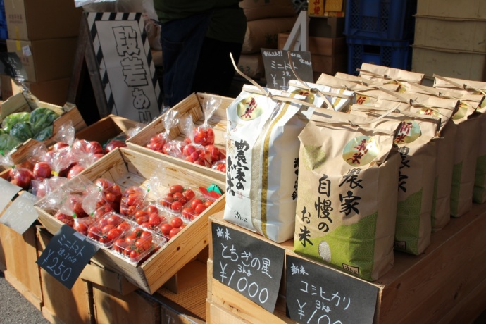 上三川町の農作物たち