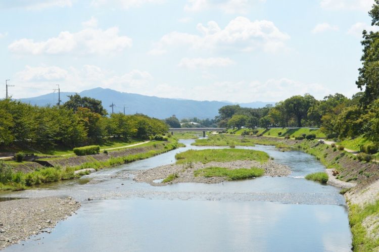 高麗美術館の近くを流れる加茂川